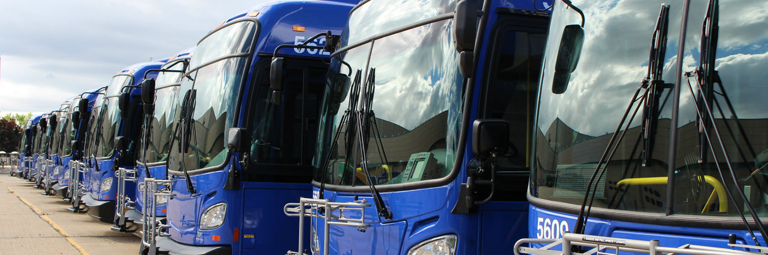 Line of Blue Buses